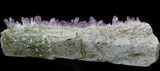 Amethyst Crystal Cluster - Veracruz, Mexico (Special Price) #42213-4